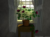 Window Flowers